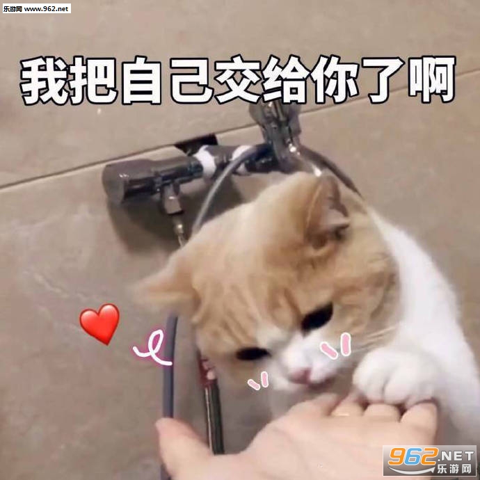 �ճ������������ͼ2