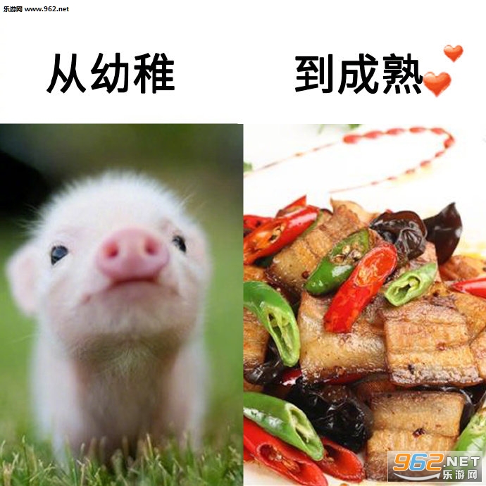 �����ɵ�����������ͼ0