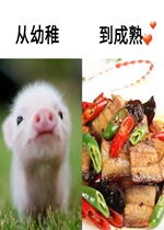 �����ɵ���������