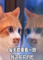 ÿ�춼Ҫ��һ������ƶ����������
