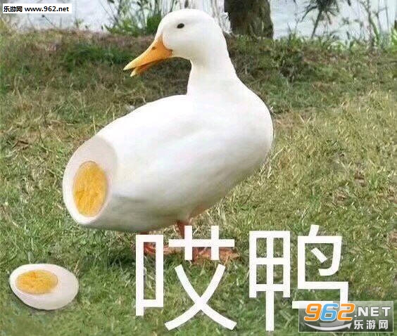 ��Ѽ�������ͼ7