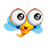 apkɵ��ʽ�İ�����