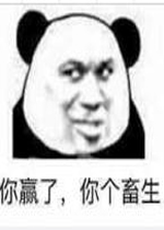 ��Ӯ��������������