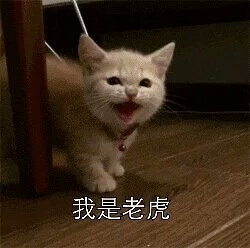 ����̬���Ǻܺ����׷���������ͼ0