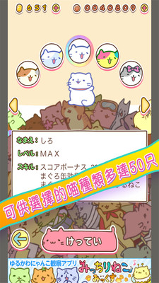 团团猫冲刺汉化版截图0