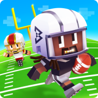 Marshawn Lynch Blocky Football(��Ұ�����ٷ���)
