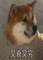 ��˥����ӱ����