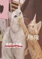 ���봦�����㲻������