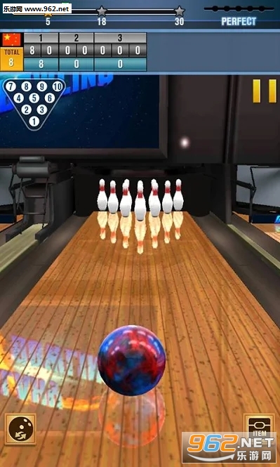 保龄球世界锦标赛2018安卓版截图0