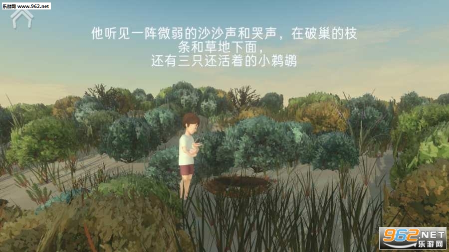 男孩与鹈鹕(风暴男孩最新汉化版)截图3