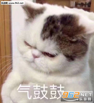 ������ȫȺ��˵���ˮ�����ͼƬ��ͼ3