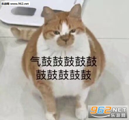 ������ȫȺ��˵���ˮ�����ͼƬ��ͼ6