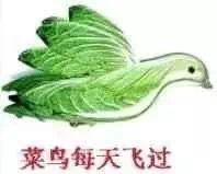 ��ͷɥ���������ͼ3