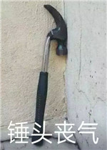 ��ͷɥ�������