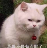 ��̸�����˴�ҿ�ȰȰ�ұ����ͼƬ��ͼ4