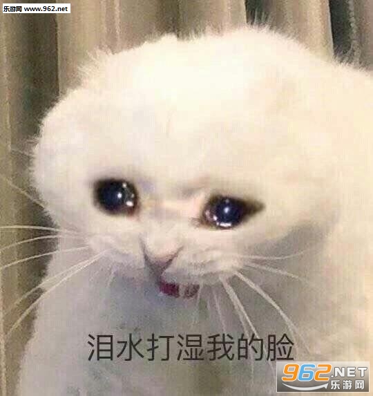 ��˫���ۿ�͸̫���˱����ͼƬ��ͼ8
