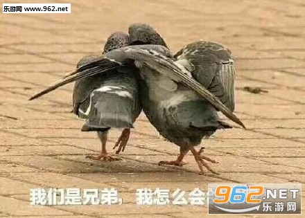 �������ֵ�����ô������ر����ͼƬ��ͼ2