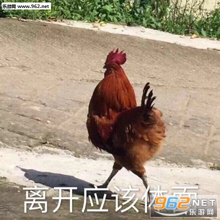 ��ẩЦ�������ͼ0