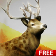 Hunting Challenge(������ս��׿���°�)