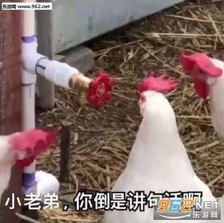 ���������治������Ҫжױ�˱������ͼ1