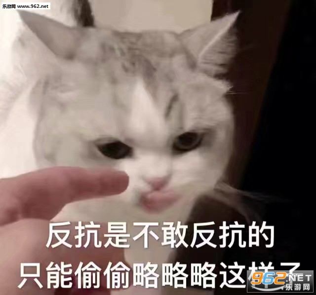 �����ǲ��ҷ�����ֻ��͵͵�����������ӱ������ͼ0