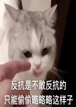�����ǲ��ҷ�����ֻ��͵͵�����������ӱ����