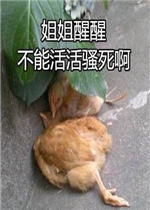 Χ�۽����ֳ������ͼƬ