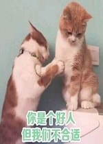 ���Ǹ����˵����ǲ������ȳ�����