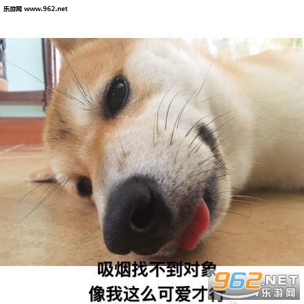 高校禁烟表情包无水印版 高校禁烟表情包无水印版