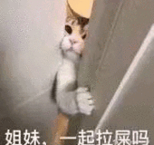 弟弟你在狂什么呢表情包