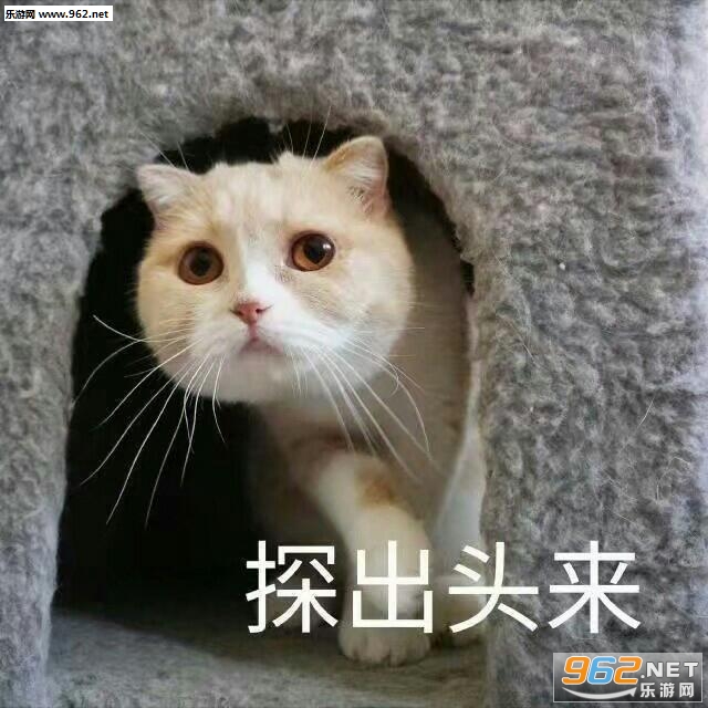 �����㳬���跳�����ͼƬ