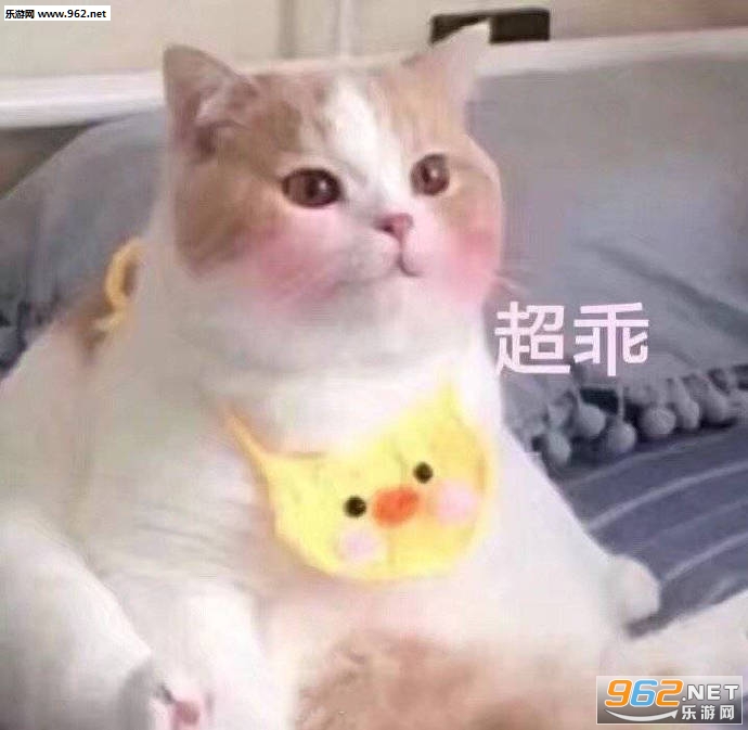 你脑壳需要物理麻醉表情包