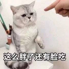 你脑壳需要物理麻醉表情包