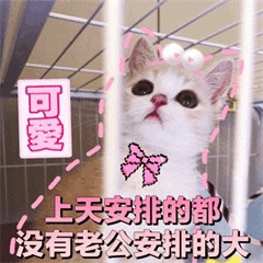 �Ϲ���Զ���ǶԵ�������Ů�ı����