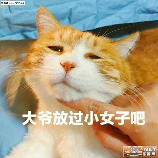 ��һ�ڰ��ر�������ͼƬ