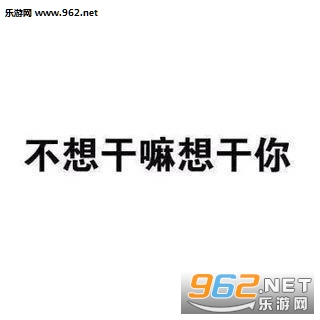 �����ݲ�����������