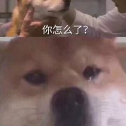 ��������ԭͼ