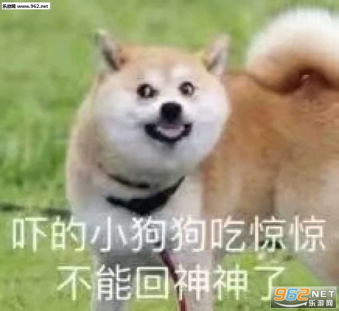�ŵ�С�����Ծ������ܻ������˱����ͼƬ