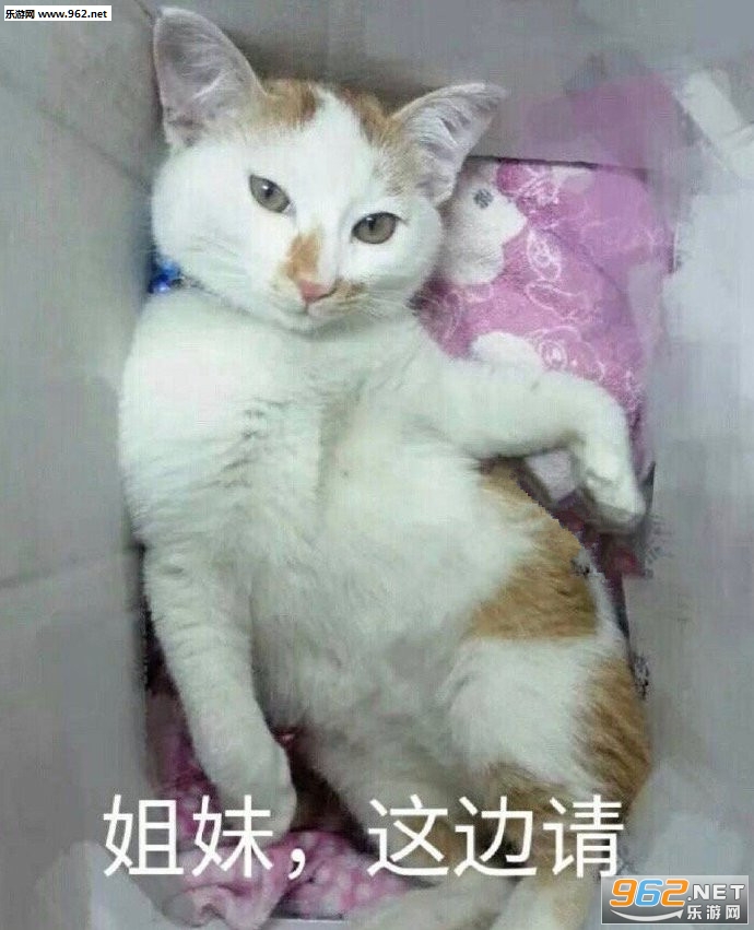 你这个骚鸡离我远一点啊表情包图片 你这个骚鸡离我远一点啊表情包图片