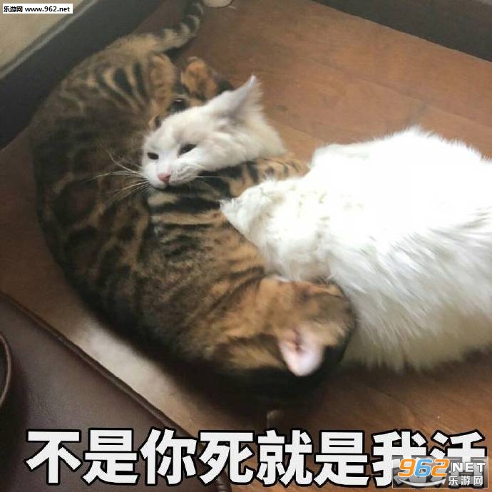 �Ҹ㵽������Ź��������ͼƬ
