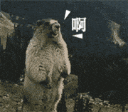 �����������ź�gif��ͼ