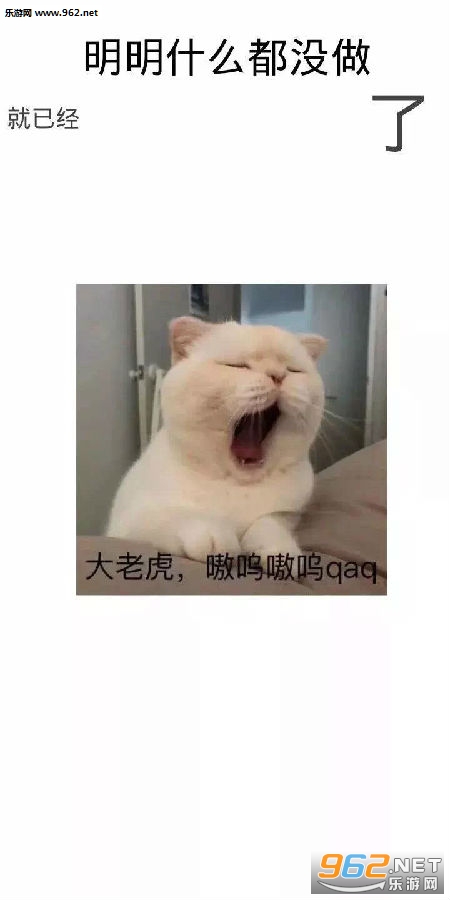 ��������ʲô��û�����Ѿ������