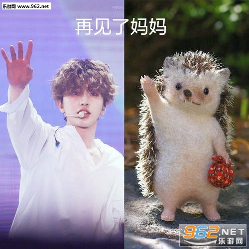 再见了妈妈表情包 再见了妈妈表情包