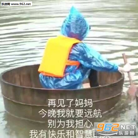 再见了妈妈表情包 再见了妈妈表情包