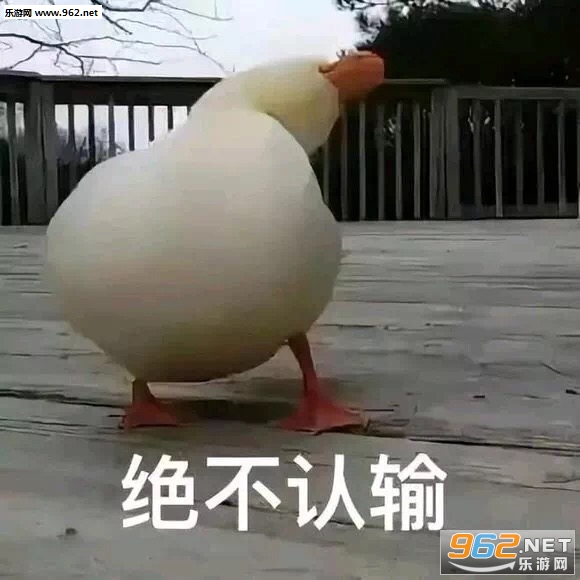 ������������ԭͼ