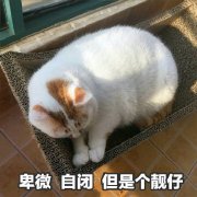������������ԭͼ