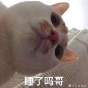 ������������ԭͼ
