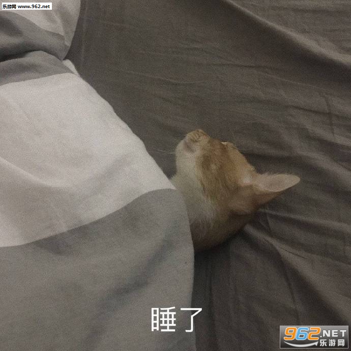 ��֪����Ҫ˵ʲô�����ͱ����ͼƬ