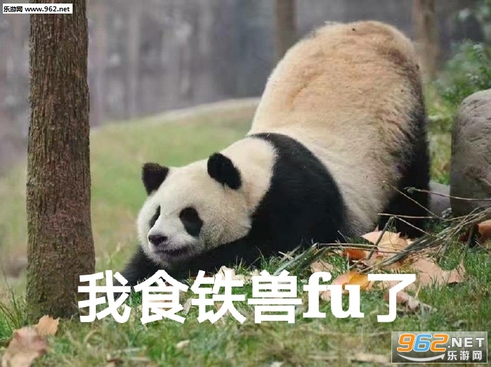 ��֪����Ҫ˵ʲô�����ͱ����ͼƬ
