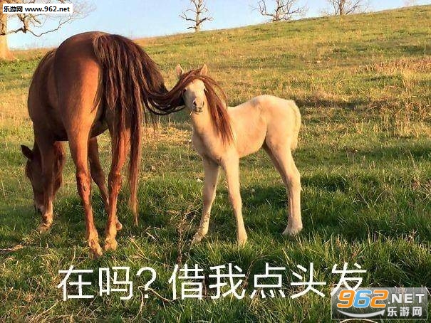 ������ҵ�ͷ��ɳ������